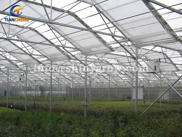 Greenhouse Insect Screen for High Planting Percent &amp; Seedling Quality 4