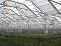 Greenhouse Insect Screen for High Planting Percent &amp; Seedling Quality 4