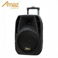 12 inch multifunctional PA Active Speaker System with FM function 2