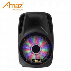 12 inch multifunctional PA Active Speaker System with FM function