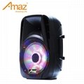 12 inch multifunctional PA Active Speaker System with FM function 3