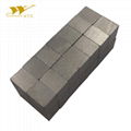 High Performance Sintered Samarium