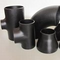Carbon Steel Pipe Fittings 1