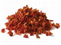 Organic dried tomatoes with Export Good