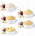 Dehydrated Garlic Granules air dried garlic granules 1