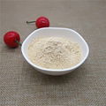 100% pure Dried Dehydrated Onion Powder 1