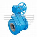 Semi Eccentric Ball Valve 1