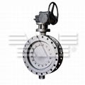 High Performance Butterfly Valve 1