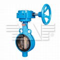 Wafer Type Concentric Butterfly Valve