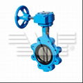 Lug Type Concentric Butterfly Valve