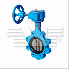 Lug Type Concentric Butterfly Valve