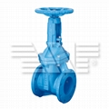 Rising Soft Seated Gate Valve 1