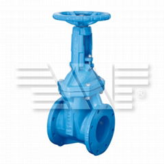 Rising Soft Seated Gate Valve