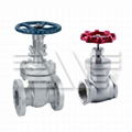 Stainless Steel Gate Valve