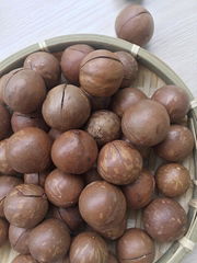 MACADAMIA