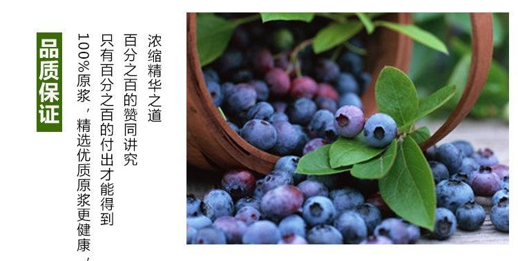  蓝莓浓缩汁 
