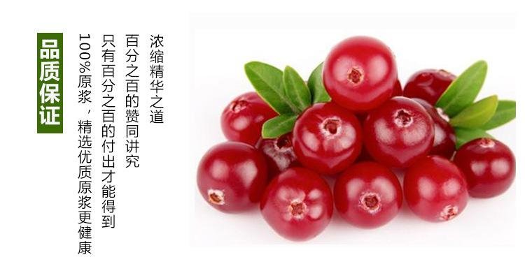 蔓越莓浓缩果汁 Cranberry juice concentrate原装进口