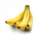 FDA认香蕉浓缩果汁