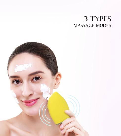Electric Facial Cleansing Brush Homemade Beauty 2