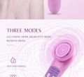 Handheld Beauty Salon Personal Care Equipment Facial Ion Vibrating Massager 4