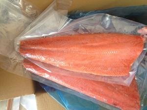 Frozen Salmon Fish