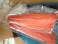 Frozen Salmon Fish 1