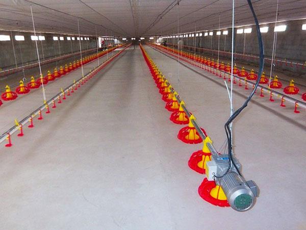 Automatic Poultry Farm Equipment Chicken Drinking System for Broiler Farm 3