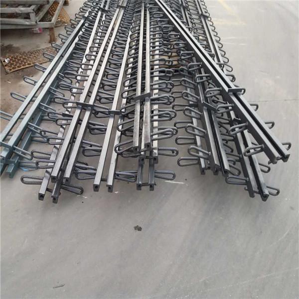 公路桥梁伸缩缝 2