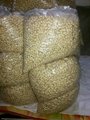 Quality Well Cleaned Cashew Nut W240