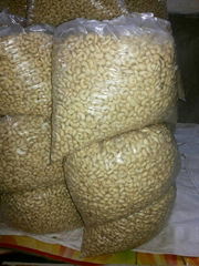 Quality Well Cleaned Cashew Nut W240 W320 W450 for Al