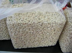 Cashew Nut W240 W320 W450