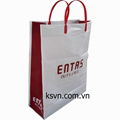 PE Rigid Handle Plastic Shopping Bag with Top/Bottom Cardboard Made in Vietnam 1