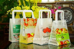 Tri fold Handle Plastic Bag