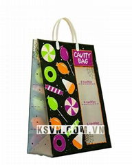 Rigid Handle Plastic Bag made in Vietnam