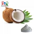 coconut powder 1