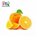 Orange peel extract Citrus Aurantium Cold-Pressed