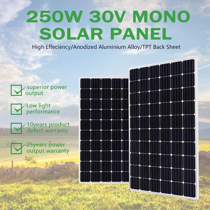 China manufacture 250 w mono solar panels 250w 260w 270w 280w 290w