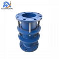 Removal Joint Limited Expansion Coupling Pipe Joint 4