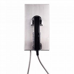 Robust Airport Telephone