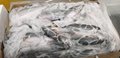 Whole mackerel - size 300/500 grams 2