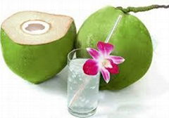 coconut