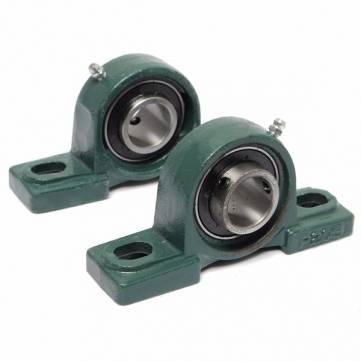 PILLOW BLOCK BEARING 2