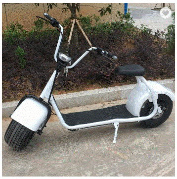 18 inch fat tire citycoco electric scooter 2