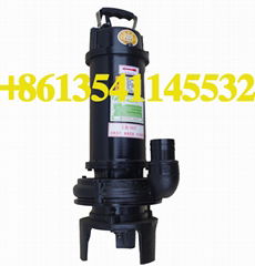 2.2kW 3HP double-knife cutting pump 