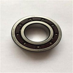 Bearing Manufacturer All Kinds of Chrome Steel Standard Quality Bearings