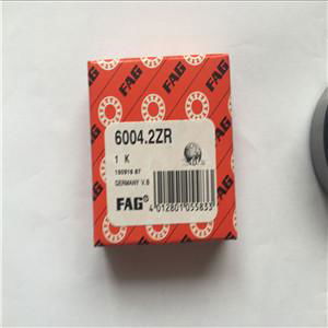 6205 Zz 2rz Emq Electric Motor Deep Groove Ball Bearing 4