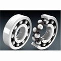 6000 Series Deep Groove Ball Bearing 1