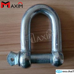 Galvanized Steel Common European Commercial Type Dee Shackle