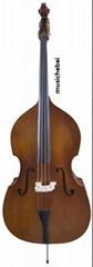 Bass Violin Student model