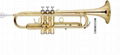 Trumpet entry model